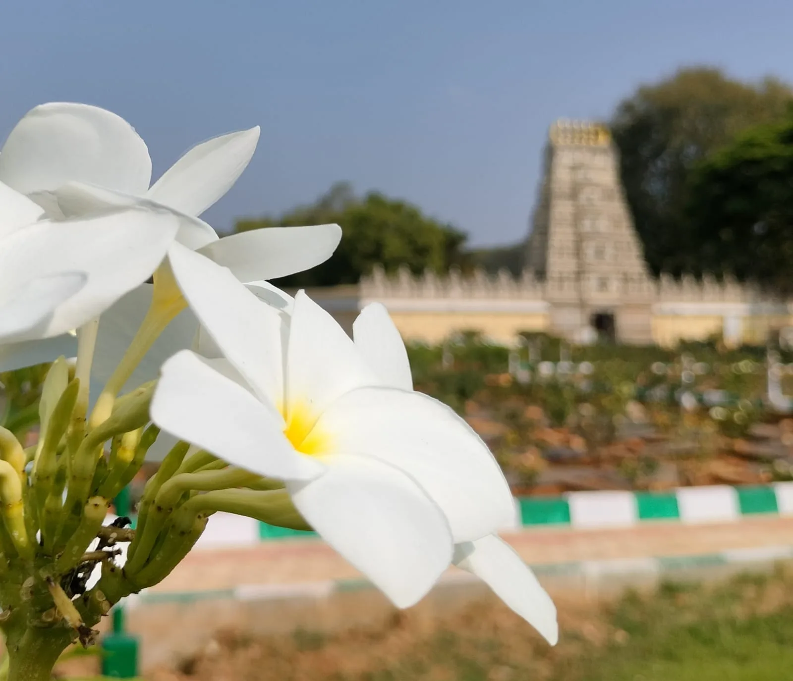 IMG 20240225 WA0062